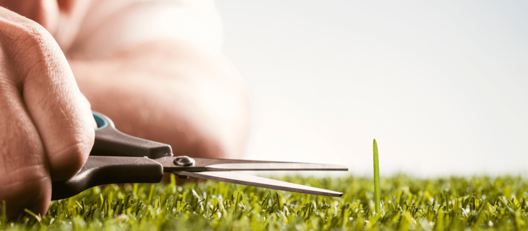 Price of Perfection | Stefan Gilliam